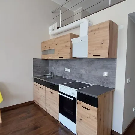 Apartment Loft Styled Near Noblessner